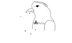 Eagle