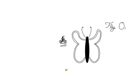 Fly On