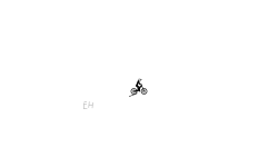 Roller Coaster