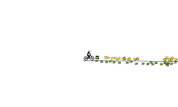 Speed