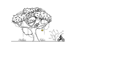 Jungle Preview