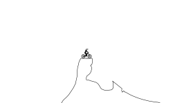 mountain track