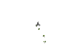 Leap 2️⃣
