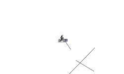the poke mon track