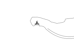 Saftey Guides