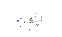Tiny AUTO