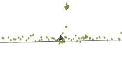 Trampoline auto