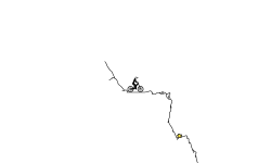 Downhill Session