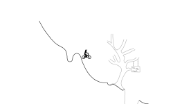 Wheelie / Auto Collab