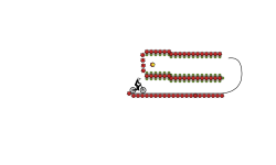 speed squish