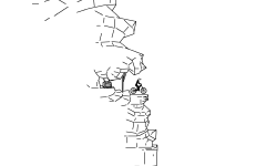 The Summit