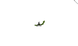 short wheelie