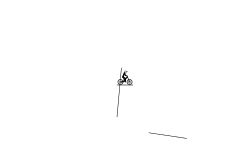 auto impaled