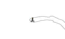 Helicobder