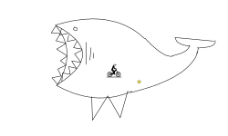 shark