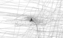 Seisure