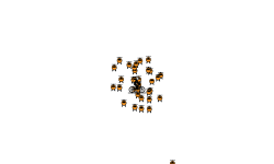 helicocopter