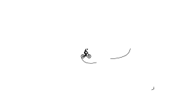 Flips and Wheelies