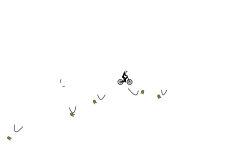 Buncha loops