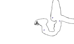 Brush Cave