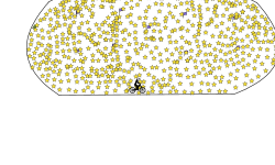 Stars