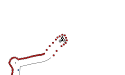 Rubythistinium