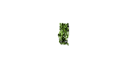 13 rqefjw hdbnxvfspd;lc biofgn