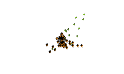 Lost
