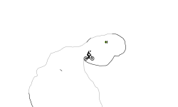 cave wheelie