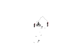 Monkey 5