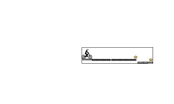 medal run