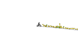 fast track