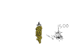 1339 points