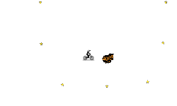 Fly Freely HD