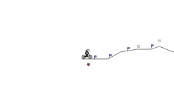 How long can you wheelie?