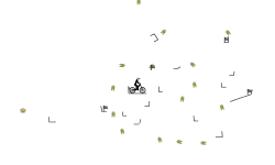 Auto (16,60)