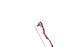 long auto