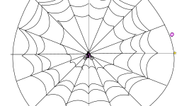 spider web