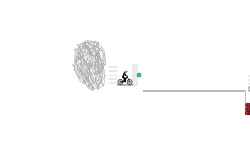 chasing white rabbit 5 (last)