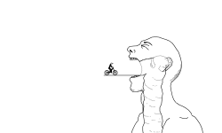 Digest