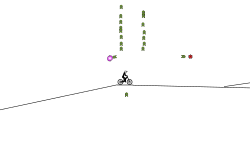 what path