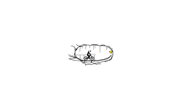 Cave