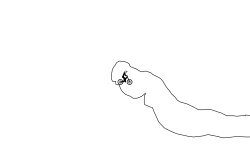 track types (desc)