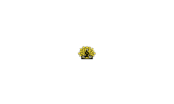 zoom in