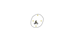 circle track