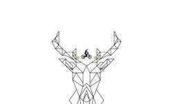 geometrical