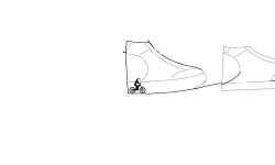 shoe