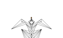 Hawk