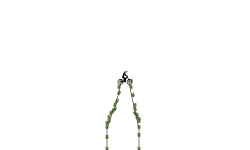long bike