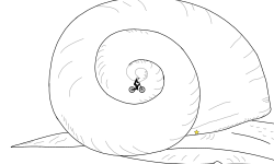 for Seasnails